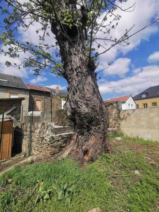 La Cascade Verte /Appartement /Jardin /Parking Braux  Exterior foto